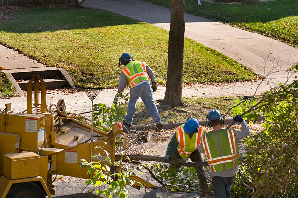 Best Weed Control  in Lipatria, CA